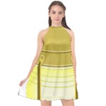 E8kogkcwqam3rmd Halter Neckline Chiffon Dress 