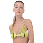 E8kogkcwqam3rmd Knot Up Bikini Top