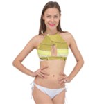 E8kogkcwqam3rmd Cross Front Halter Bikini Top