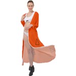Drawing-1 Sketchpad Maxi Chiffon Beach Wrap