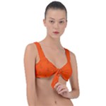 Drawing-1 Sketchpad Front Tie Bikini Top