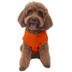 Drawing-1 Sketchpad Dog Sweater