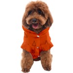 Drawing-1 Sketchpad Dog Coat