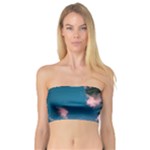 Pexels-photo-2486168 Bandeau Top