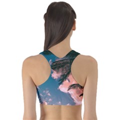 Fitness Sports Bra 
