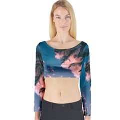 Long Sleeve Crop Top 