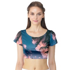 Short Sleeve Crop Top 