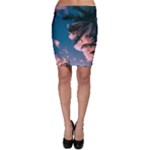 Pexels-photo-2486168 Bodycon Skirt