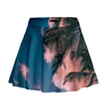 Pexels-photo-2486168 Mini Flare Skirt