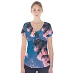 Pexels-photo-2486168 Short Sleeve Front Detail Top