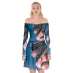 Pexels-photo-2486168 Off Shoulder Skater Dress