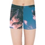 Pexels-photo-2486168 Kids  Sports Shorts
