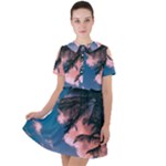 Pexels-photo-2486168 Short Sleeve Shoulder Cut Out Dress 