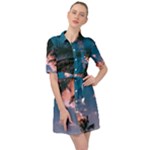 Pexels-photo-2486168 Belted Shirt Dress