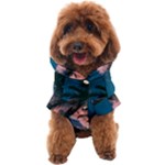 Pexels-photo-2486168 Dog Coat