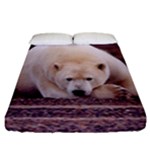 Polar_bear_resting_but_alert_ursus_maritimus Fitted Sheet (California King Size)