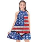 Usa-map-and-flag-on-cement-wall-texture-background-design-1591646654pet Halter Neckline Chiffon Dress 