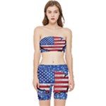 Usa-map-and-flag-on-cement-wall-texture-background-design-1591646654pet Stretch Shorts and Tube Top Set