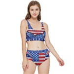 Usa-map-and-flag-on-cement-wall-texture-background-design-1591646654pet Frilly Bikini Set