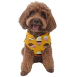 Ice cream on an orange background pattern                                                        Dog Sweater