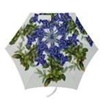 Vintage-blume-kunst-clipart-16307836606qy-removebg-preview Mini Folding Umbrellas