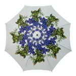 Vintage-blume-kunst-clipart-16307836606qy-removebg-preview Golf Umbrellas