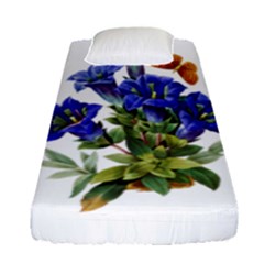 Fitted Sheet (Single Size) 