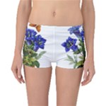 Vintage-blume-kunst-clipart-16307836606qy-removebg-preview Boyleg Bikini Bottoms