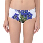 Vintage-blume-kunst-clipart-16307836606qy-removebg-preview Mid-Waist Bikini Bottoms