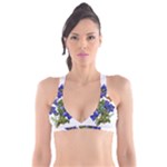 Vintage-blume-kunst-clipart-16307836606qy-removebg-preview Plunge Bikini Top