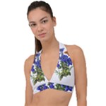 Vintage-blume-kunst-clipart-16307836606qy-removebg-preview Halter Plunge Bikini Top
