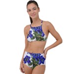Vintage-blume-kunst-clipart-16307836606qy-removebg-preview High Waist Tankini Set