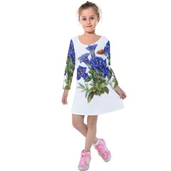 Kids  Long Sleeve Velvet Dress 