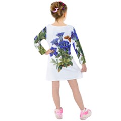Kids  Long Sleeve Velvet Dress 