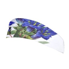 Stretchable Headband 