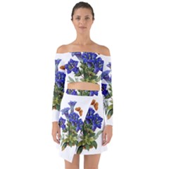 Off Shoulder Top with Skirt Set 