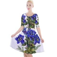 Quarter Sleeve A-Line Dress 