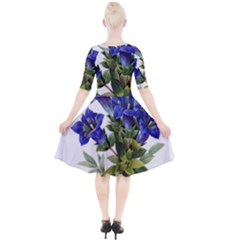 Quarter Sleeve A-Line Dress 