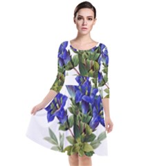 Quarter Sleeve Waist Band Dress 