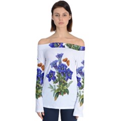Off Shoulder Long Sleeve Top 