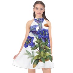 Halter Neckline Chiffon Dress  