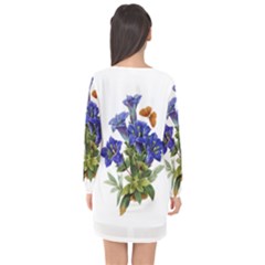 Long Sleeve Chiffon Shift Dress  