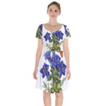 Vintage-blume-kunst-clipart-16307836606qy-removebg-preview Short Sleeve Bardot Dress