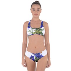 Criss Cross Bikini Set 