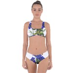 Vintage-blume-kunst-clipart-16307836606qy-removebg-preview Criss Cross Bikini Set