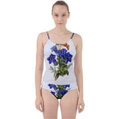 Cut Out Top Tankini Set 