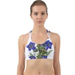 Vintage-blume-kunst-clipart-16307836606qy-removebg-preview Back Web Sports Bra