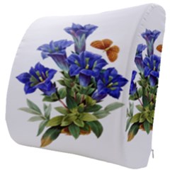 Seat Cushion 