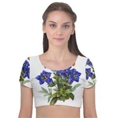 Velvet Short Sleeve Crop Top  