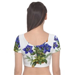 Velvet Short Sleeve Crop Top  